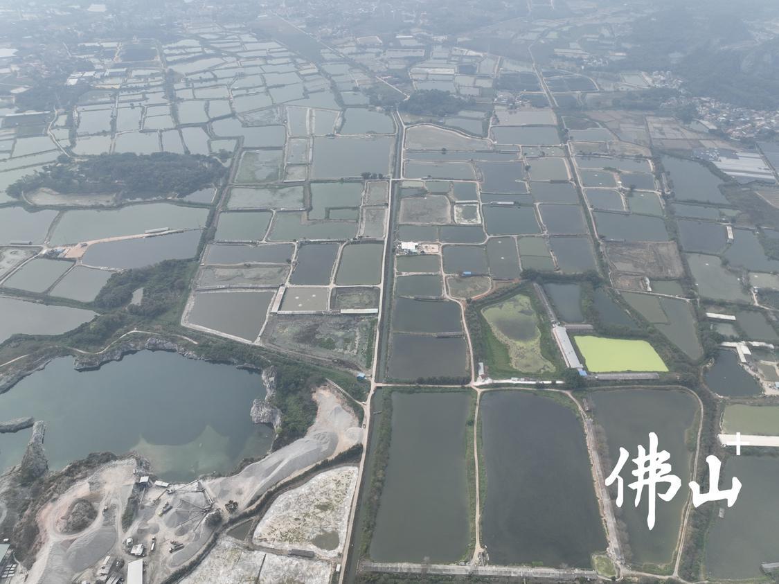 WPS图片.jpeg