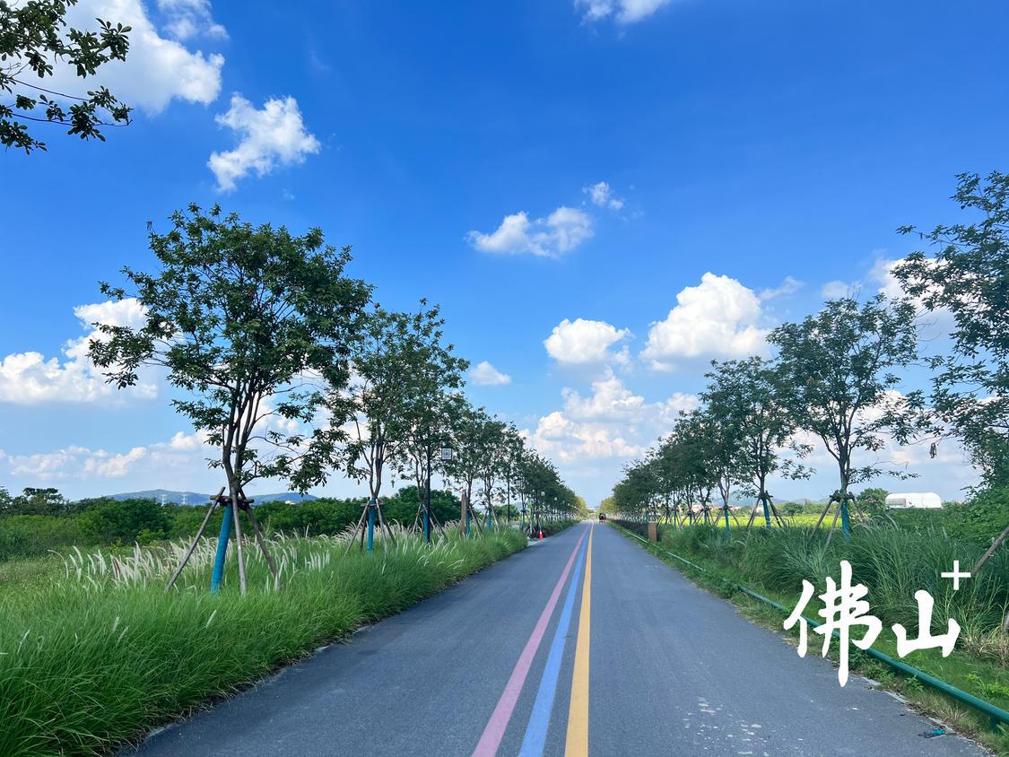 该项目已完成礼运路景观节点的打造。.jpg