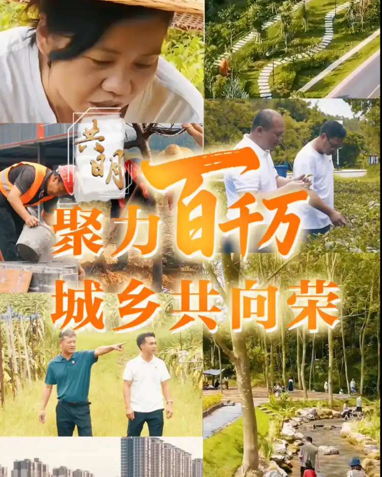 共·明|聚力“百千万”,高明城乡共向荣