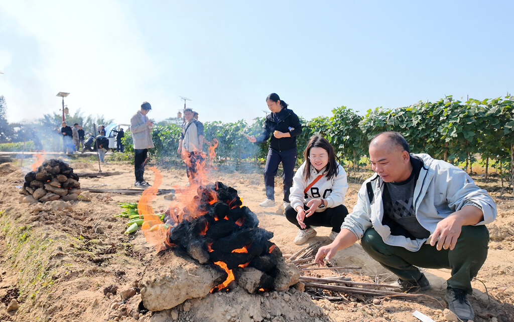 游客来到新圩村体验窑淮山、粉葛,开展团建,亲近大自然活动。 游客来到新圩村体验窑淮山、粉葛,开展团建,亲近大自然活动。