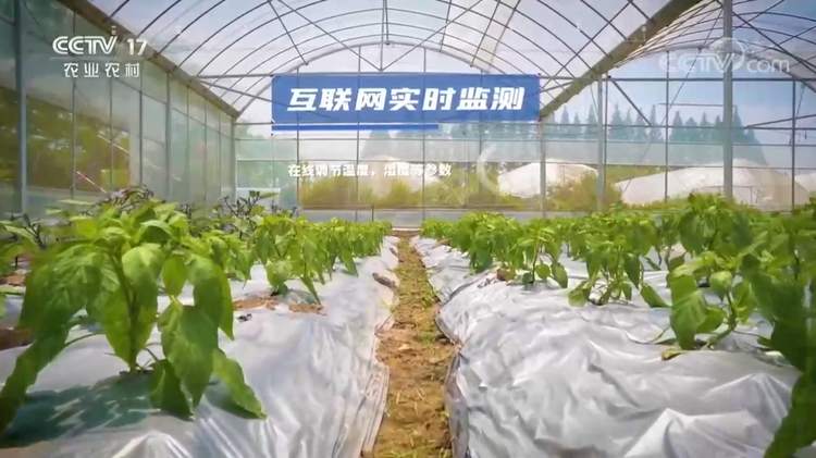 大国“粮”策 | 有了高科技,如今的农业生产像科幻大片!
