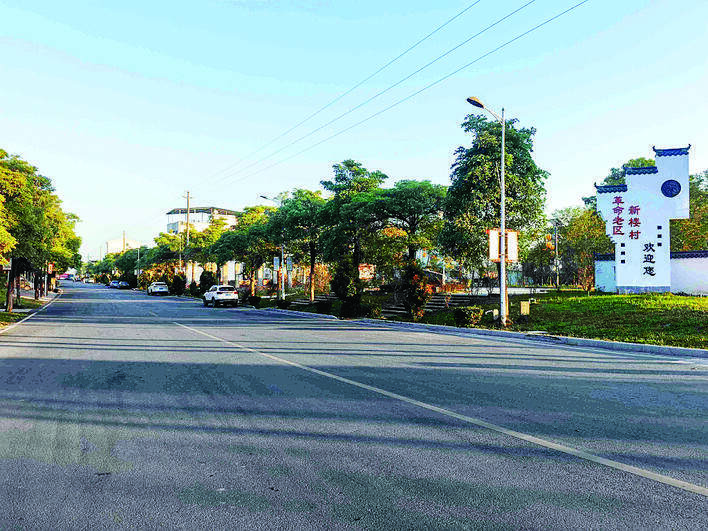 新楼村道路硬底化通到了每户家门口。 新楼村道路硬底化通到了每户家门口。