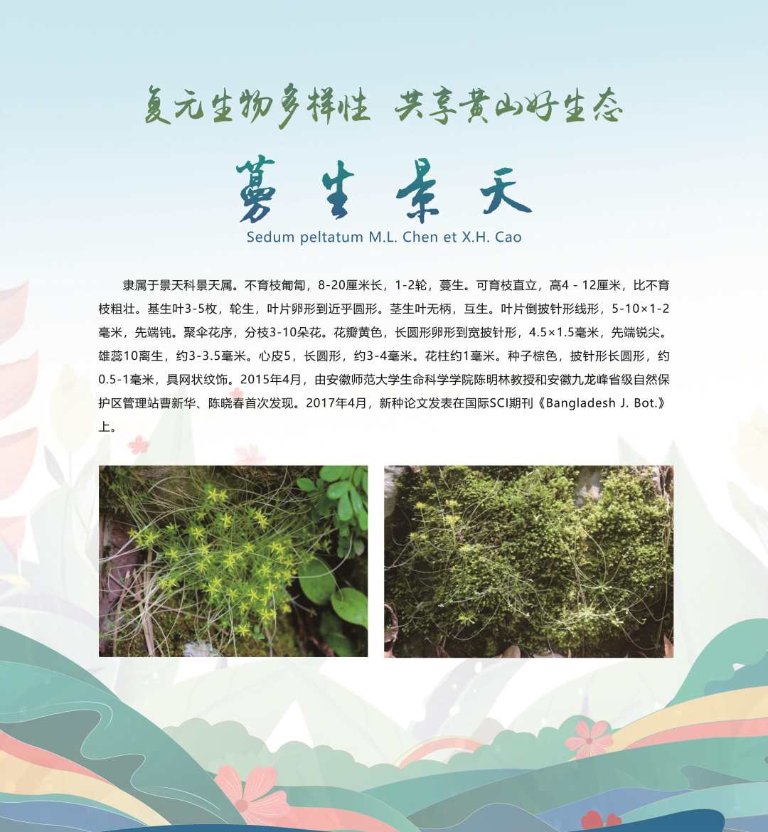 微信图片_20230520185617.jpg?x-oss-process=style/w10
