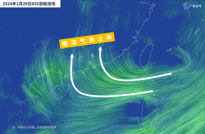 1月29日暖湿气流上岸.gif