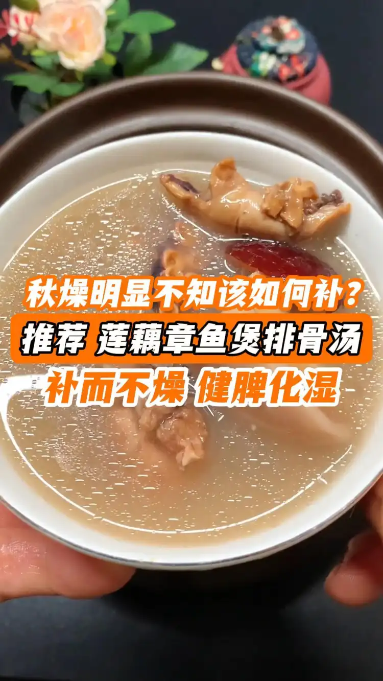秋燥明显不知该如何补?推荐莲藕章鱼煲排骨汤,补而不燥,健脾化湿!