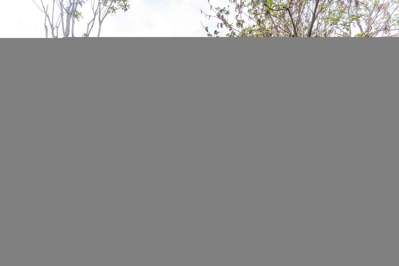 佛山梁园新园区内的汾江草庐。佛山日报记者王伟楠摄