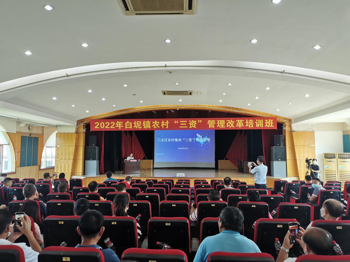 9月6日下午,白坭镇召开2022年农村“三资”管理改革培训班。通讯员丁健迪供图(1).jpg