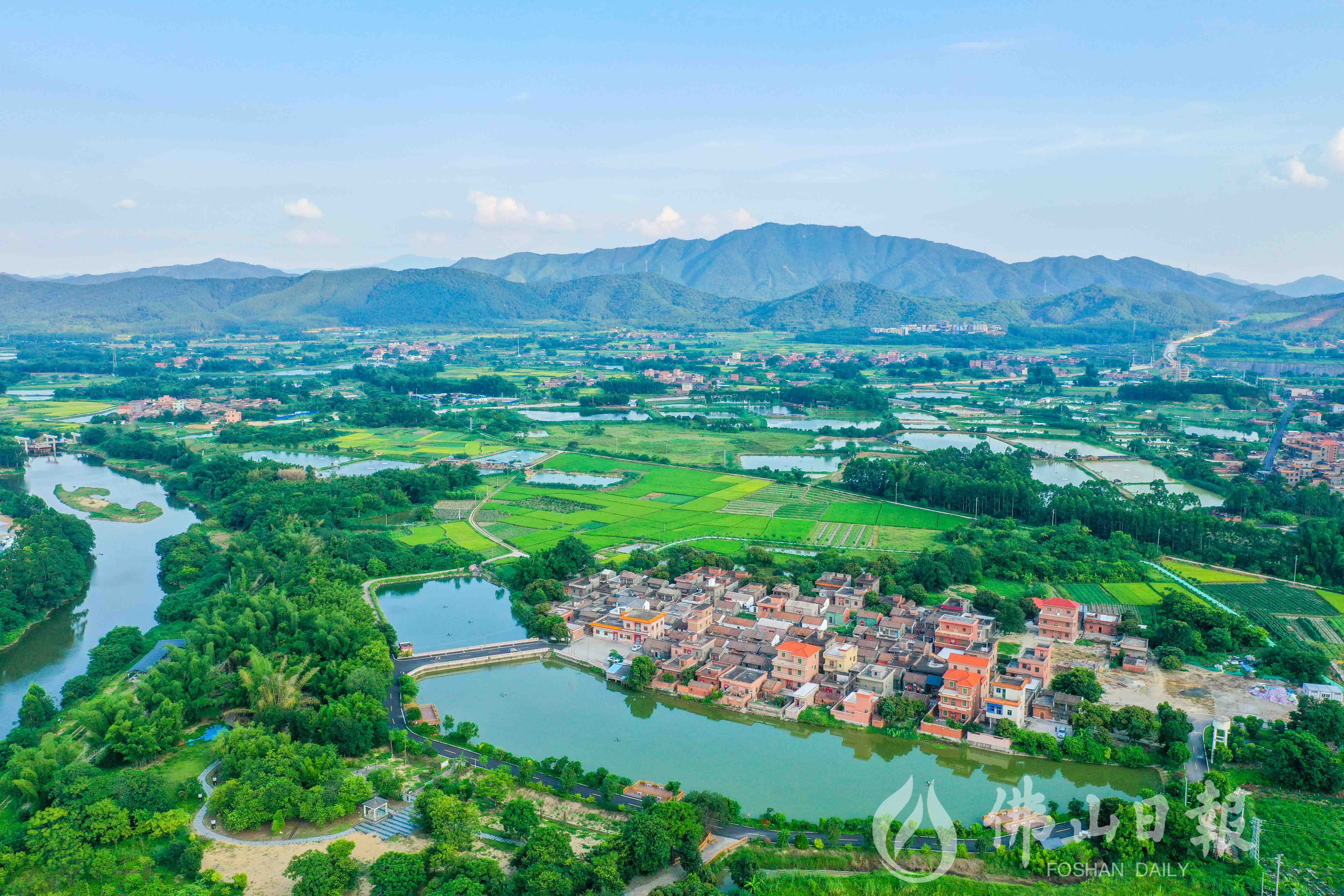 视觉·飞跃高明丨盛夏,遇见高明最美乡村风景