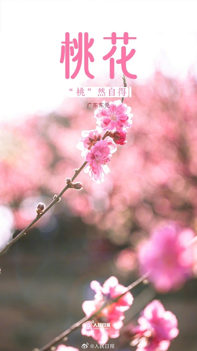 004306583a7239a5c87eea728adcd0e.png?x-oss-process=style/w10