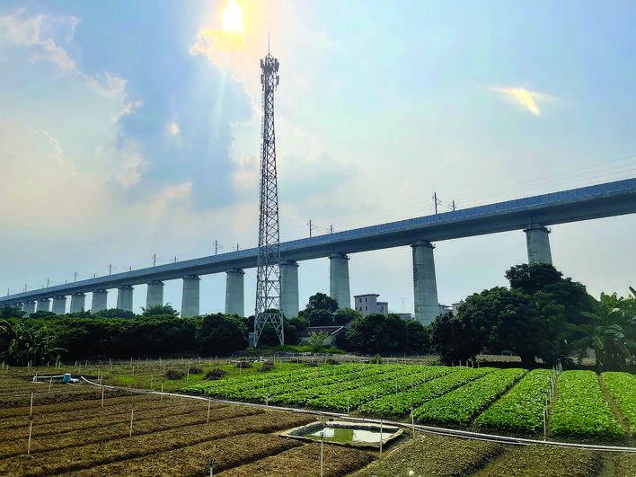 仲恺沥林镇企岭村新建的基站。