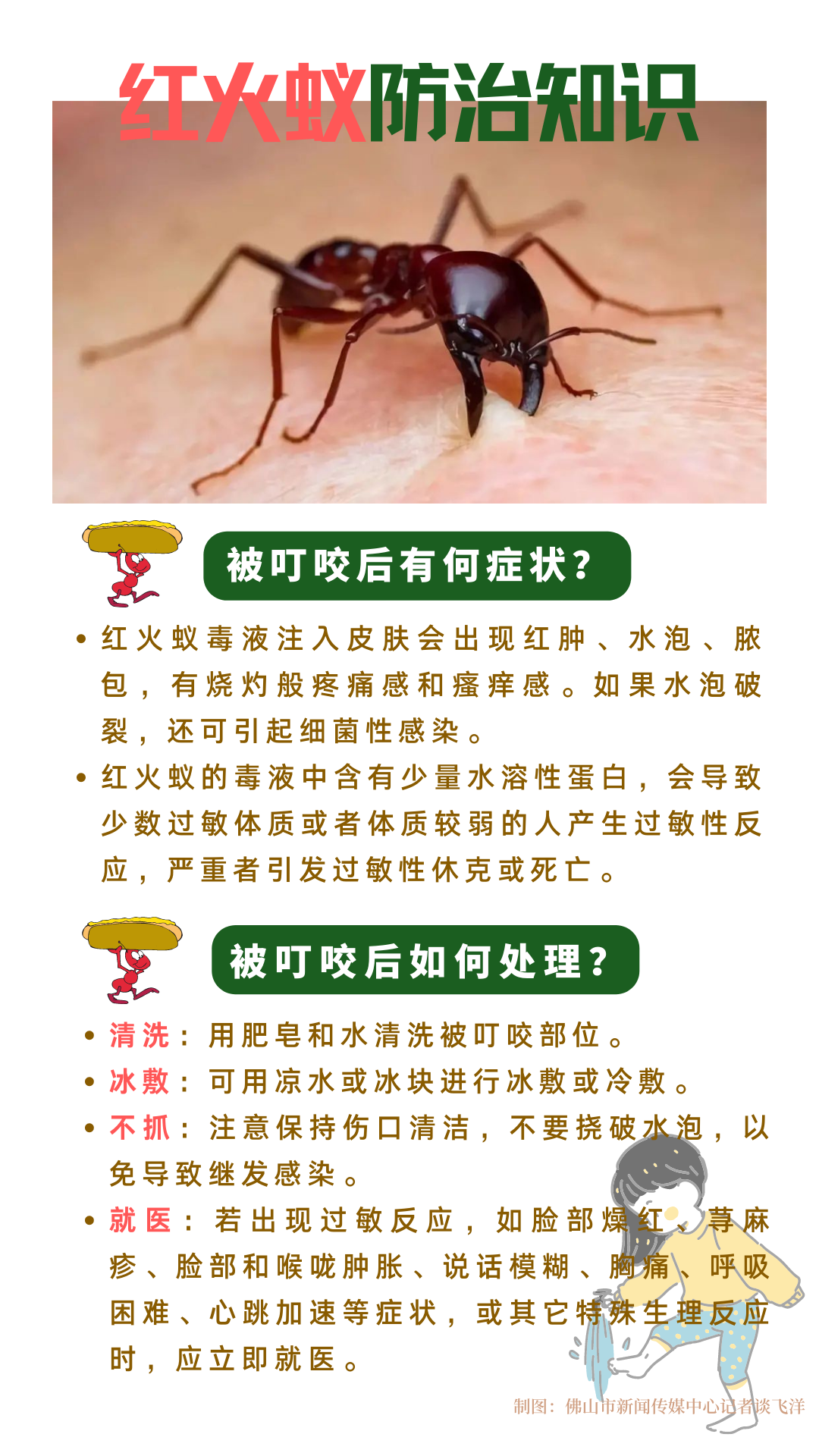 红火蚁防治知识.png