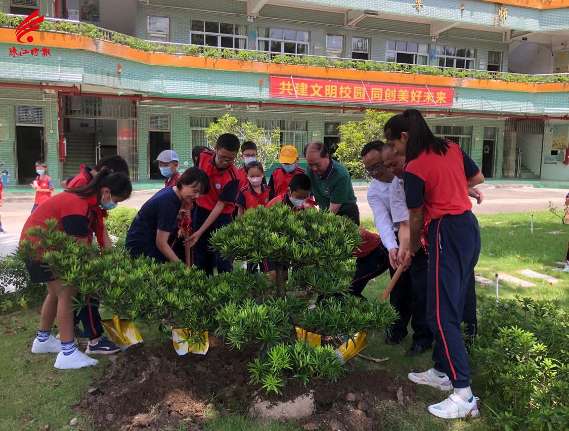 桂城夏北小学图片