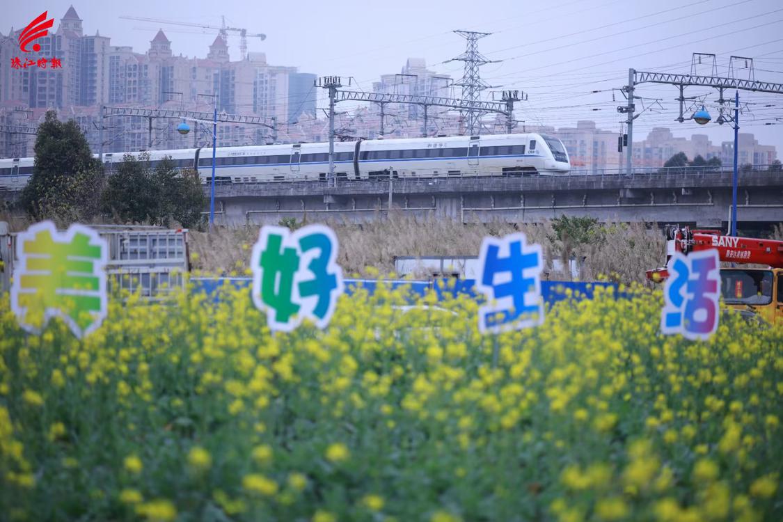 高铁从佛山西站驶出。.jpg