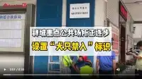 直播禅城|禅城重点公共场所禁入犬只！装宠物包里、露天餐厅能进吗？这里告诉你