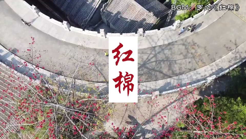 视频/佛山日报记者王琦玥、实习生黄开诚制作