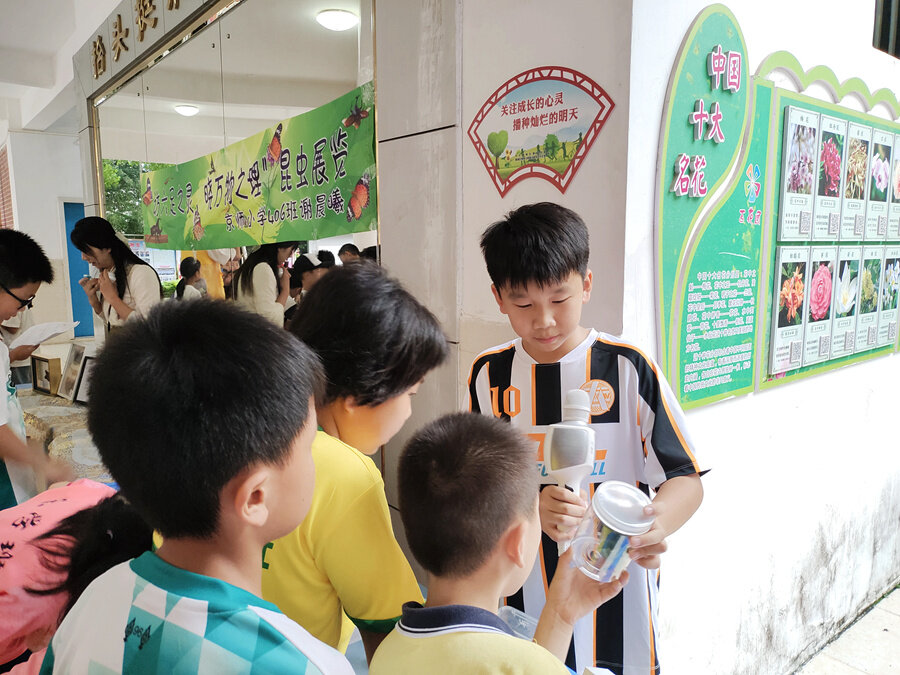 在学校举办昆虫标本展览时,谢晨曦向大家科普昆虫知识。 受访者供图 在学校举办昆虫标本展览时,谢晨曦向大家科普昆虫知识。 受访者供图