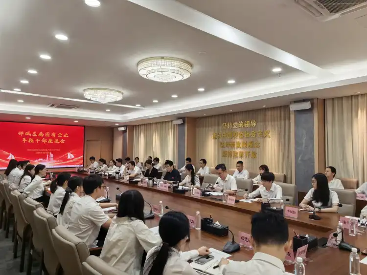 禅城国资集结青春精锐!座谈会激荡智慧赋能“二次创业”