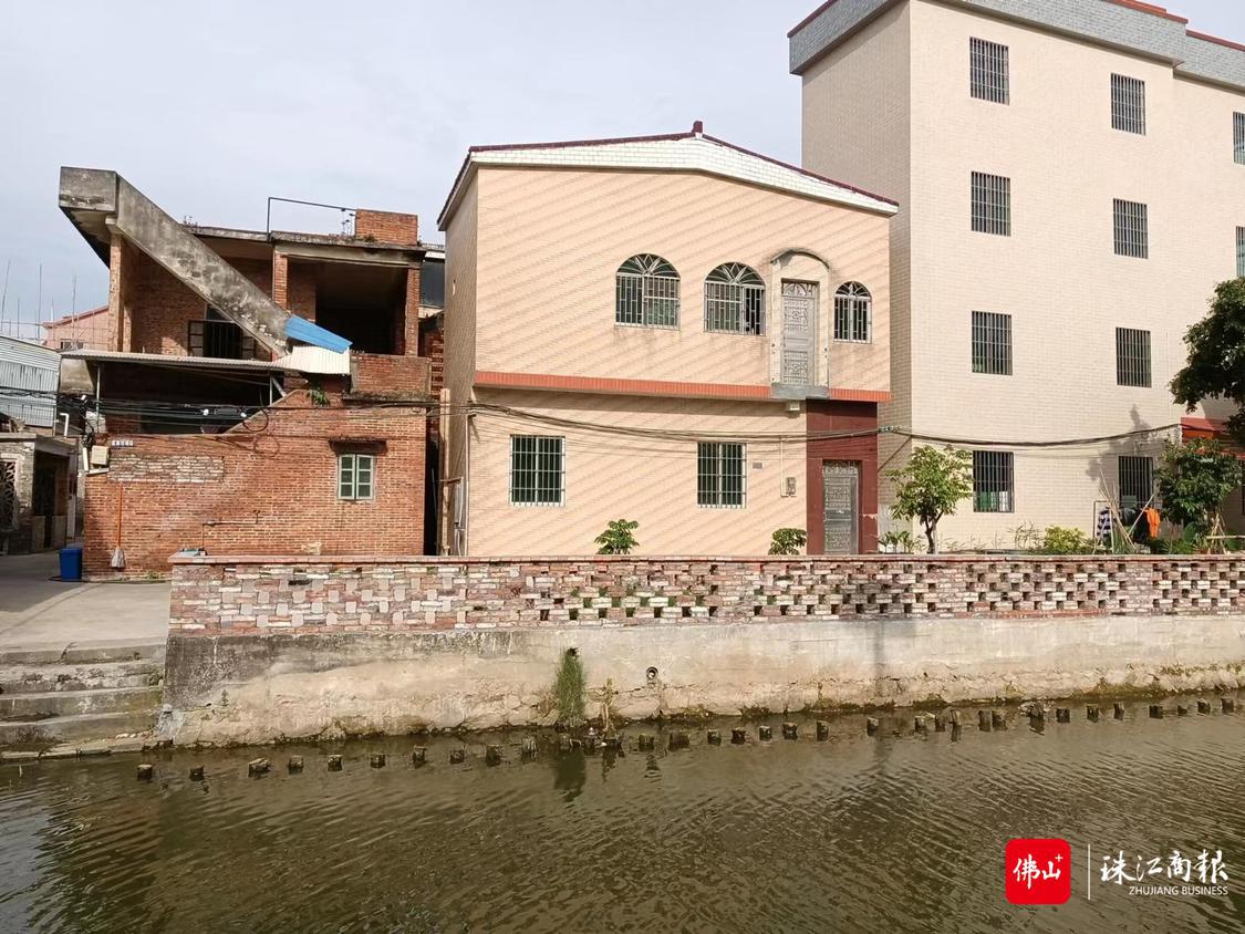 西淋河河岸改造后3.jpg
