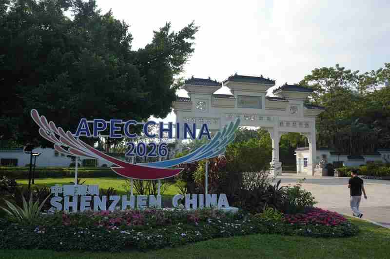 图集 | 深南大道立起APEC标识 满城道旗迎盛会