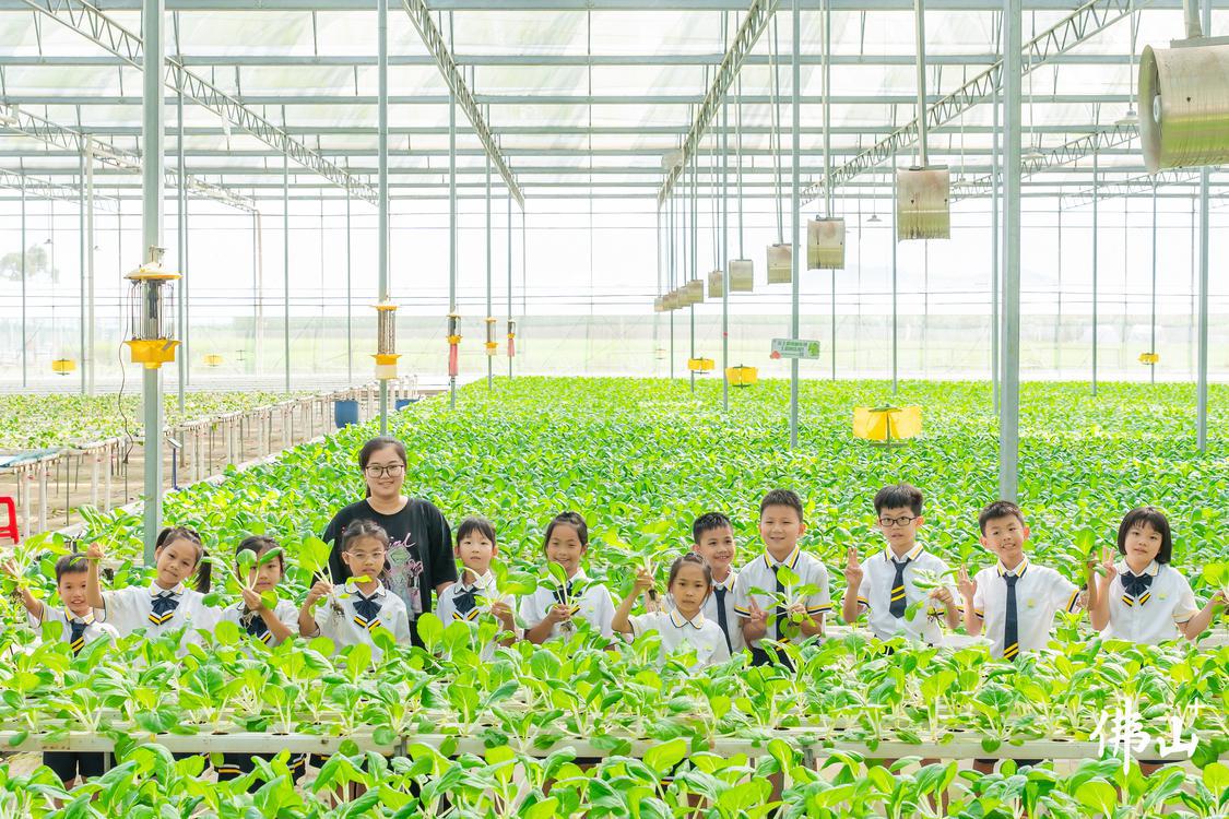 康喜莱现代农业产业园内,园区老师张雯正在与前来研学游的小学生一起合影。佛山市新闻传媒中心记者王澍摄.jpg