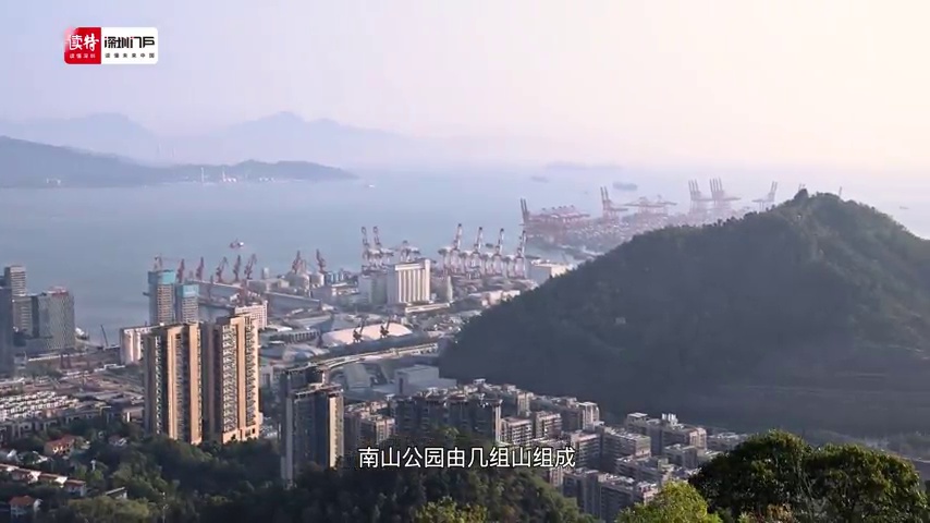 罗曼在深圳丨徒步大南山俯瞰深圳！罗曼惊叹蛇口40年巨变