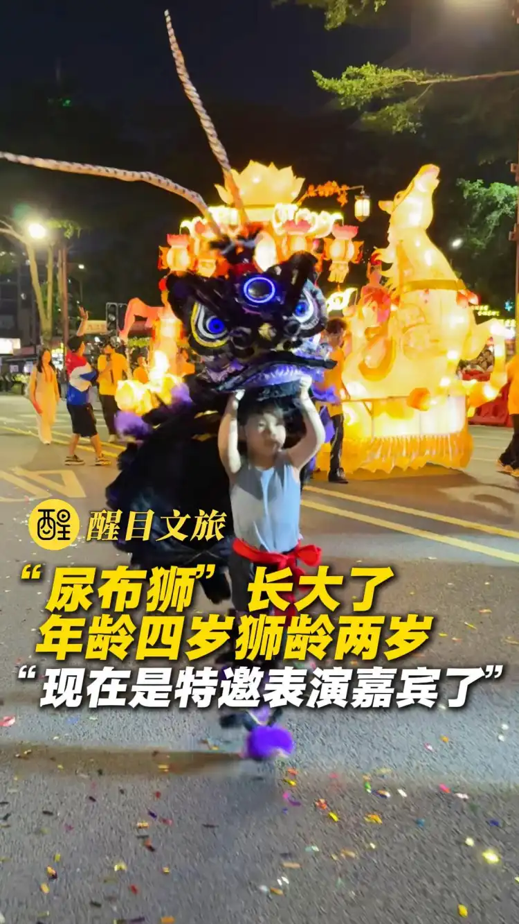 “尿布狮”长大了 年龄四岁狮龄两岁
“现在是特邀表演嘉宾了”