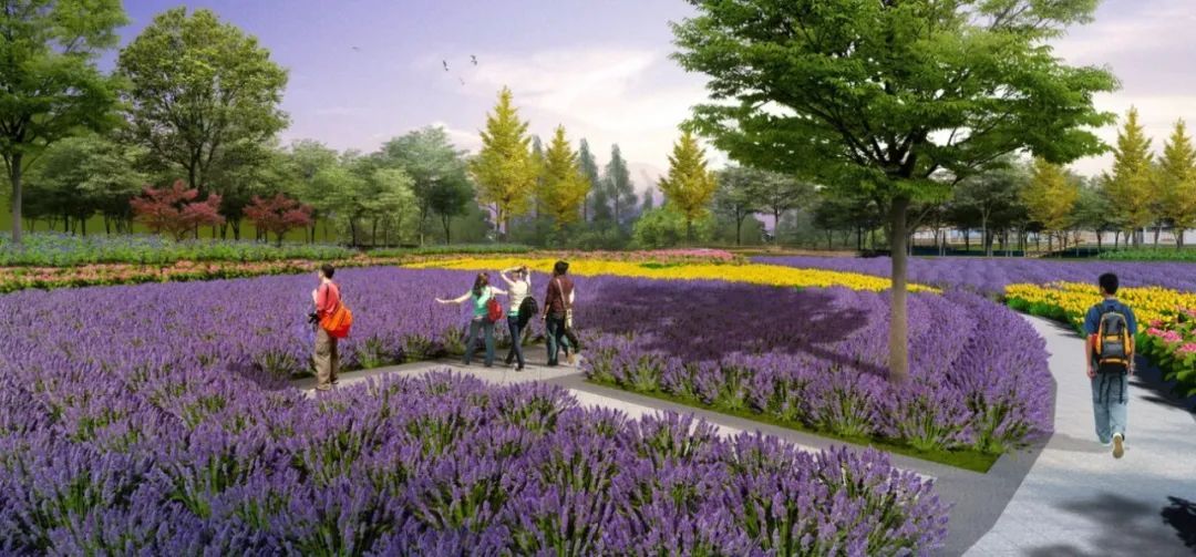 景观花海.png 图片