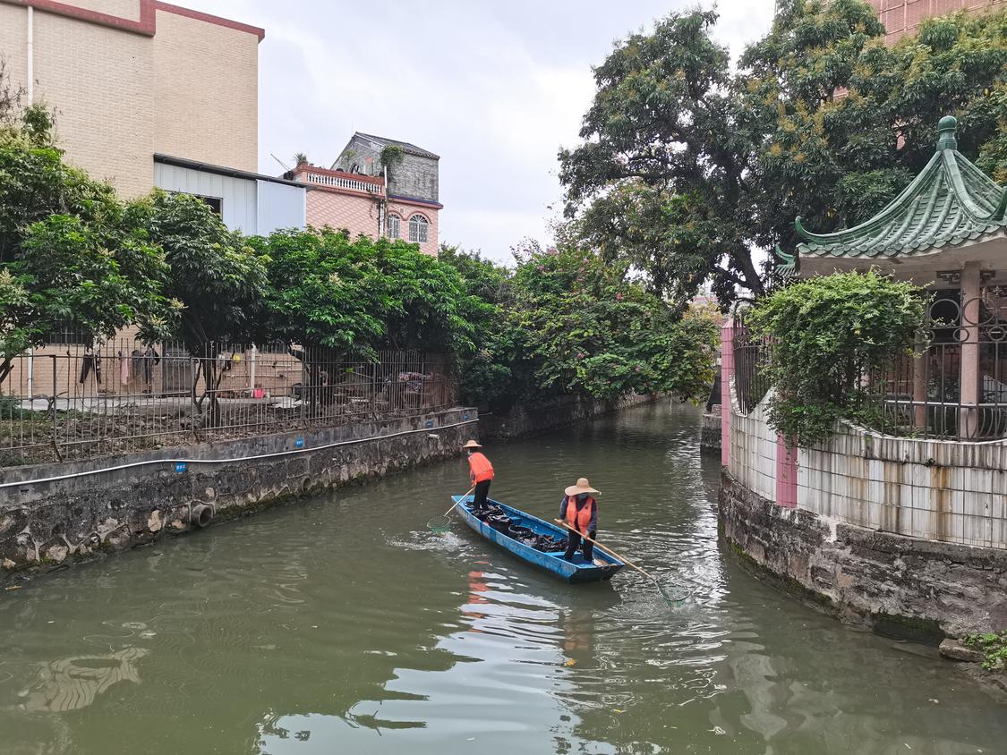 经过排水单元雨污分流和河涌清淤工程整治,河涌水质明显改善。.jpg