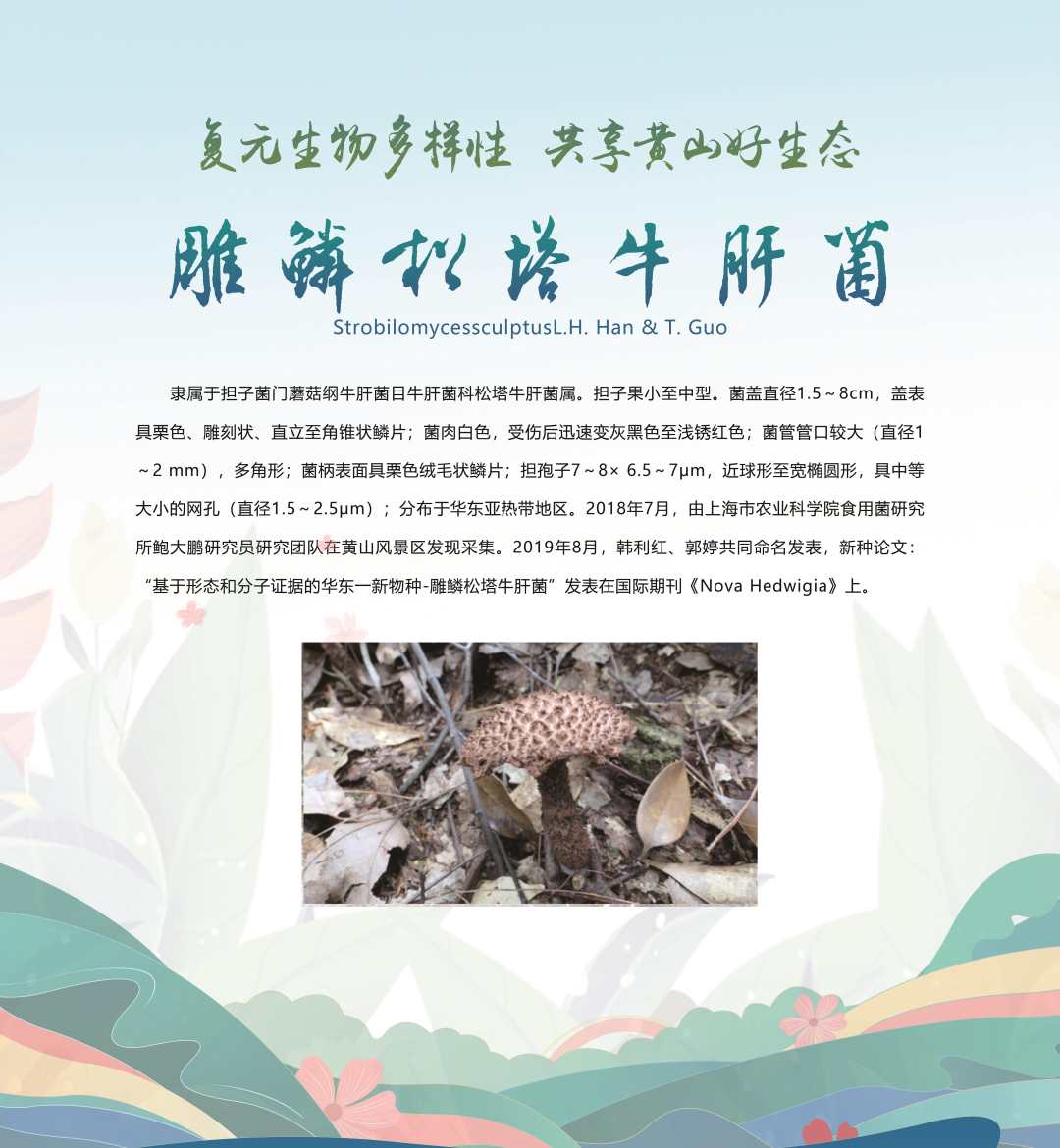 微信图片_20230520185645.jpg?x-oss-process=style/w10