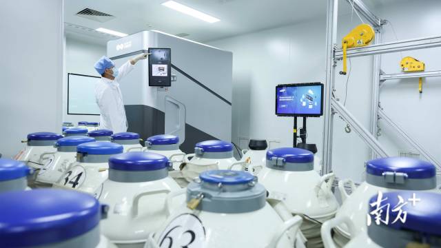 广东省人类精子库采用全自动智能化超低温储存设备。