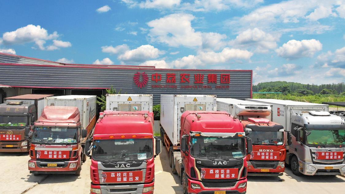 广东中荔农业集团有限公司.jpg