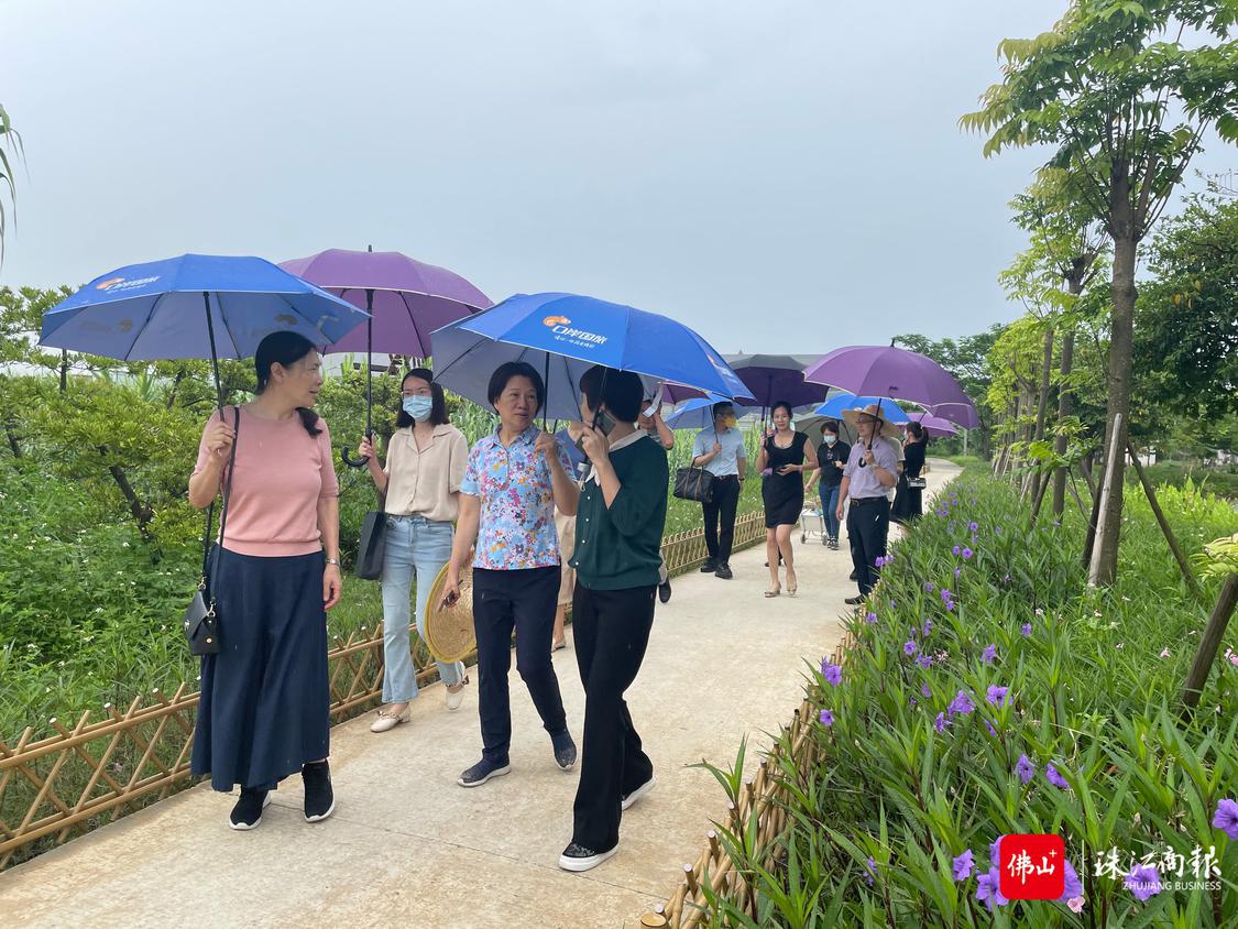 草鲩1.jpg