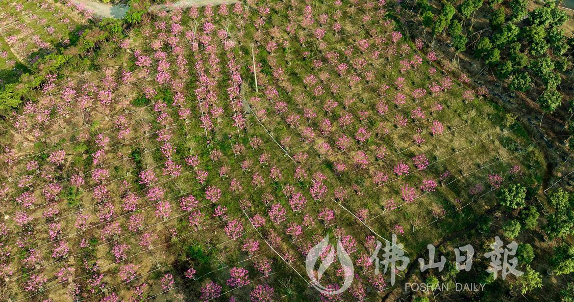 DJI_0701.jpg