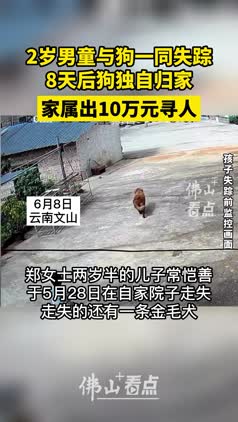 2岁男童与狗失踪，8天后狗独自归家，家属出10万元寻人
