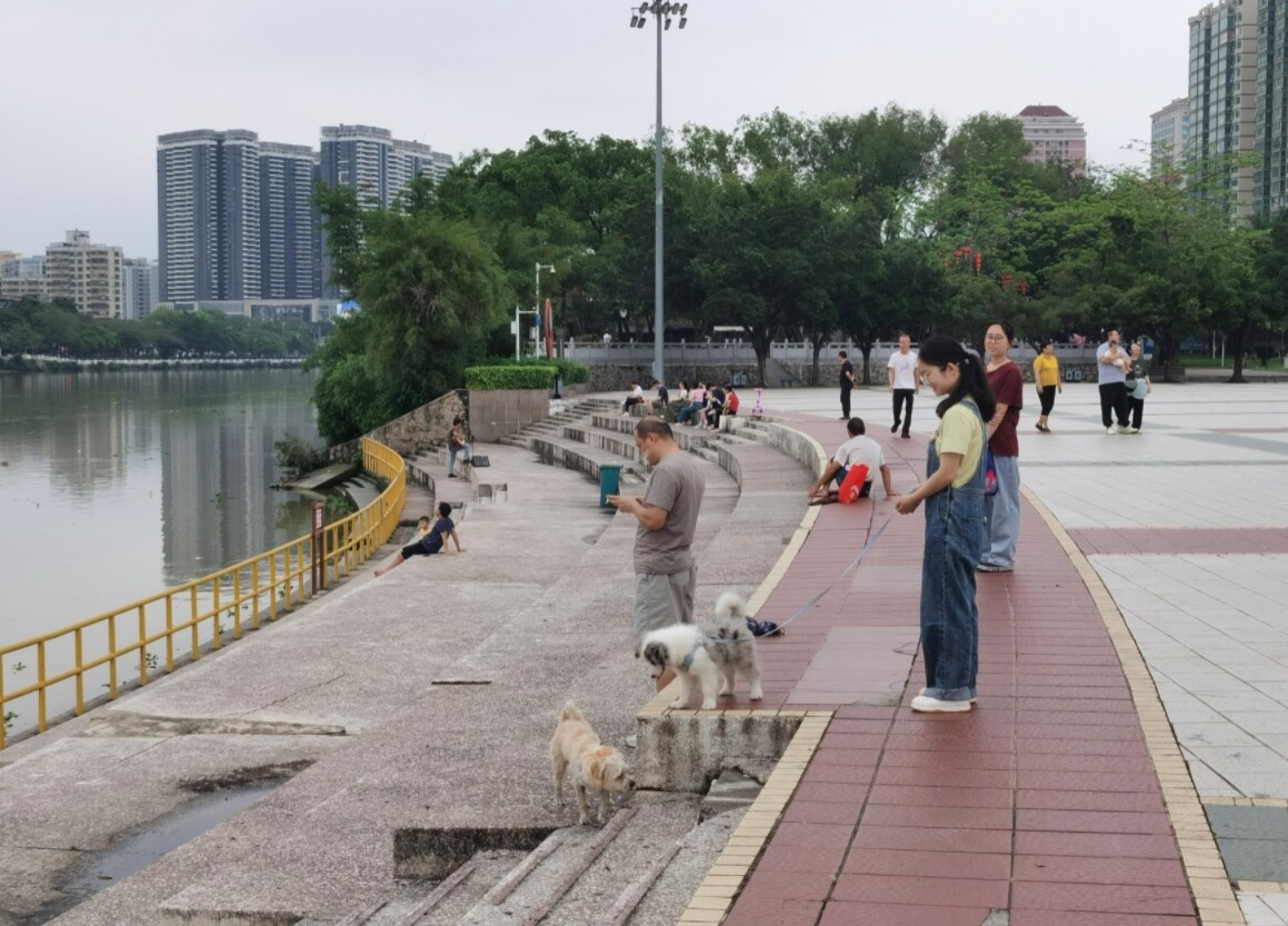 4月24日下午,一市民在滨江公园遛狗。 4月24日下午,一市民在滨江公园遛狗。