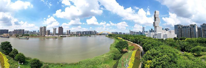 滨河公园绿树成荫。/佛山日报记者吕润致摄