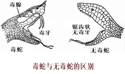 GetAttachment.jpg GetAttachment.jpg