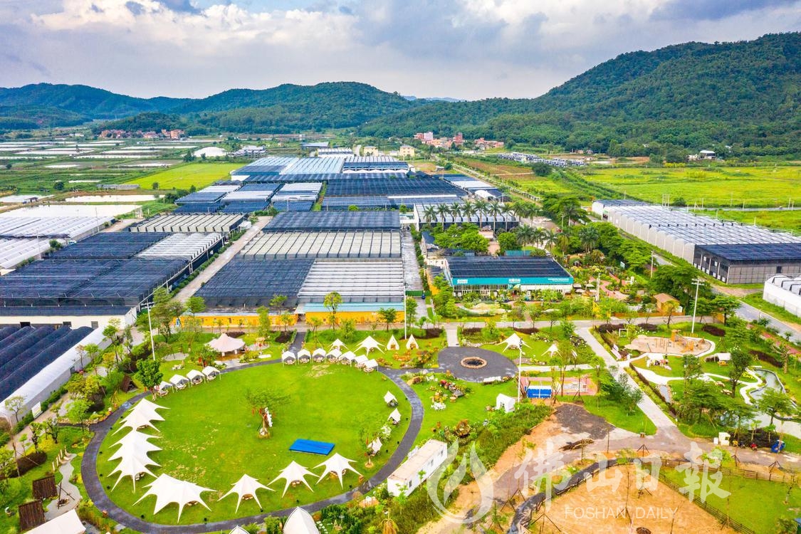 位于石洲村的旺林园艺花园。佛山市新闻传媒(6658312)-20231117073748.jpg