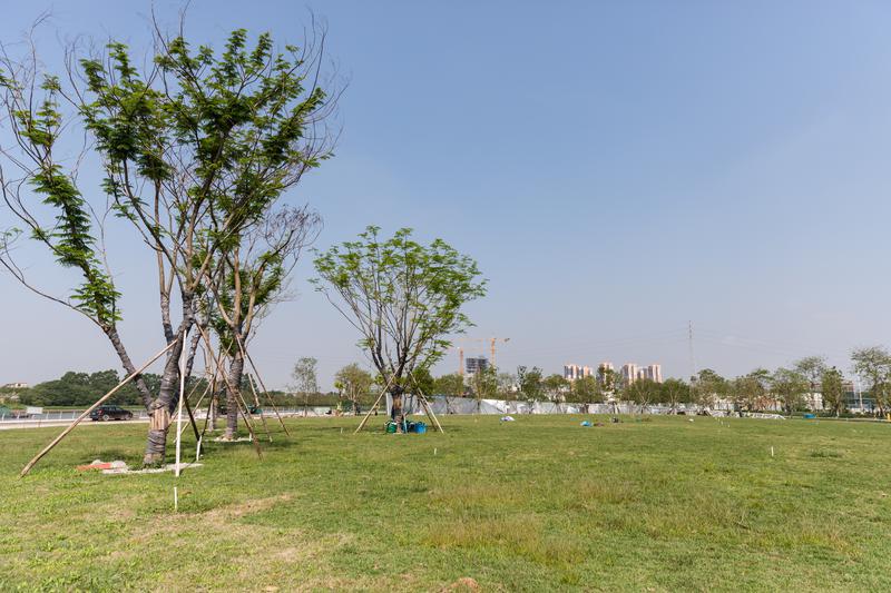 2021年4月22日,佛山青年公园,10000平米的厂房变成草地。佛山日报记者王伟楠摄