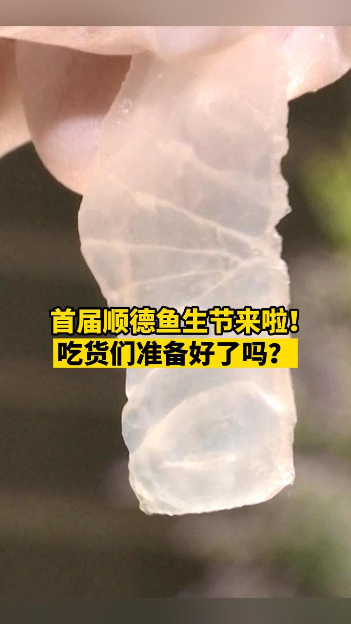 7月28日 2023年首届顺德鱼生节启动