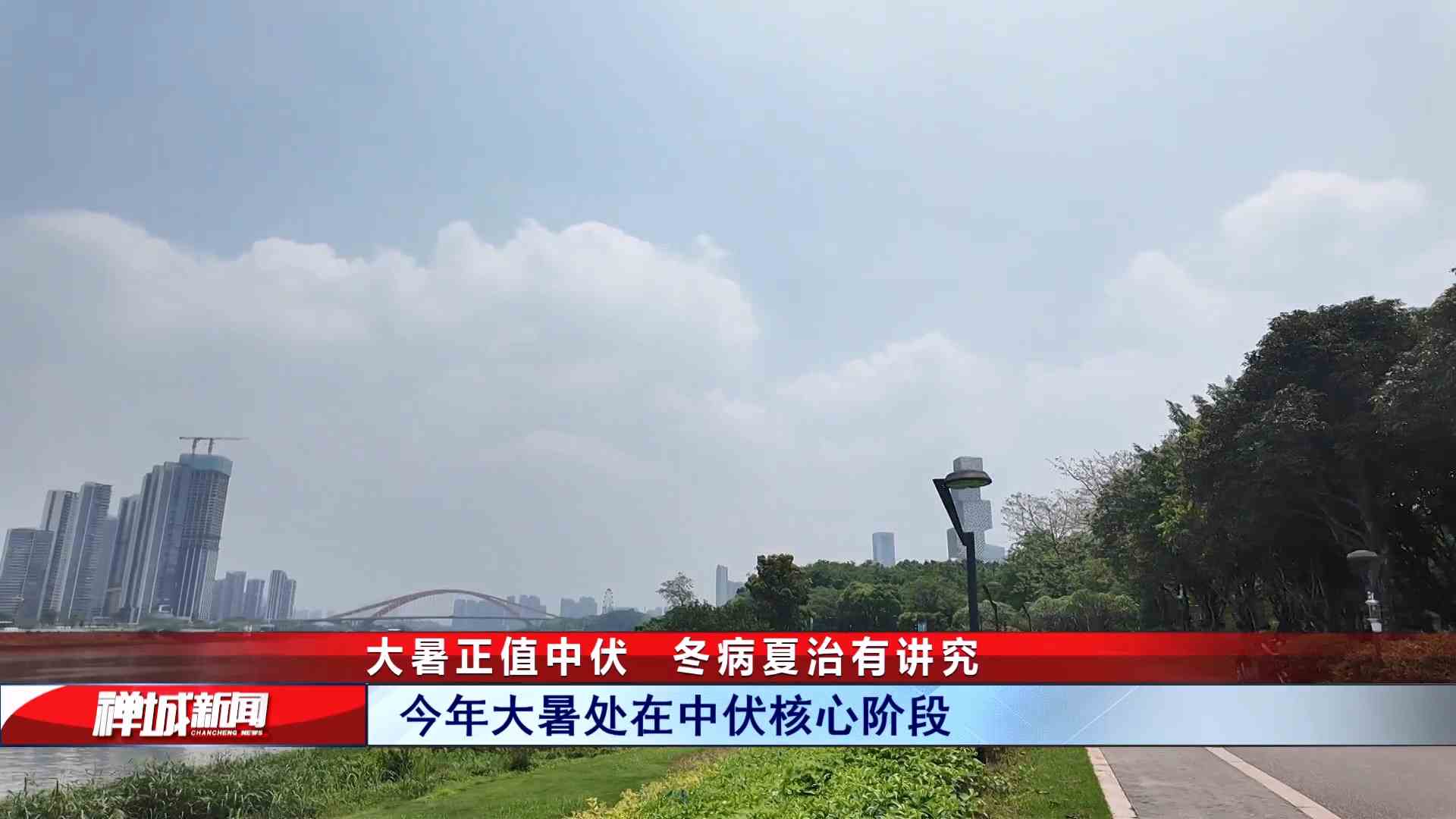 视频｜大暑正值中伏，冬病夏治有讲究