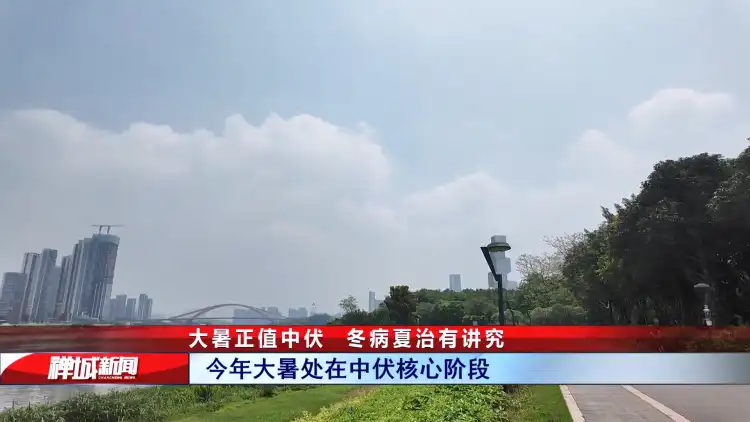 视频｜大暑正值中伏，冬病夏治有讲究