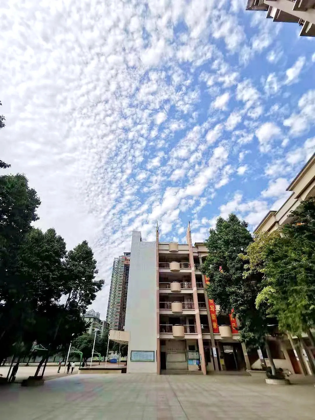 制定合适的个性化教学方案!佛山三中初中部6人获中考单科满分!