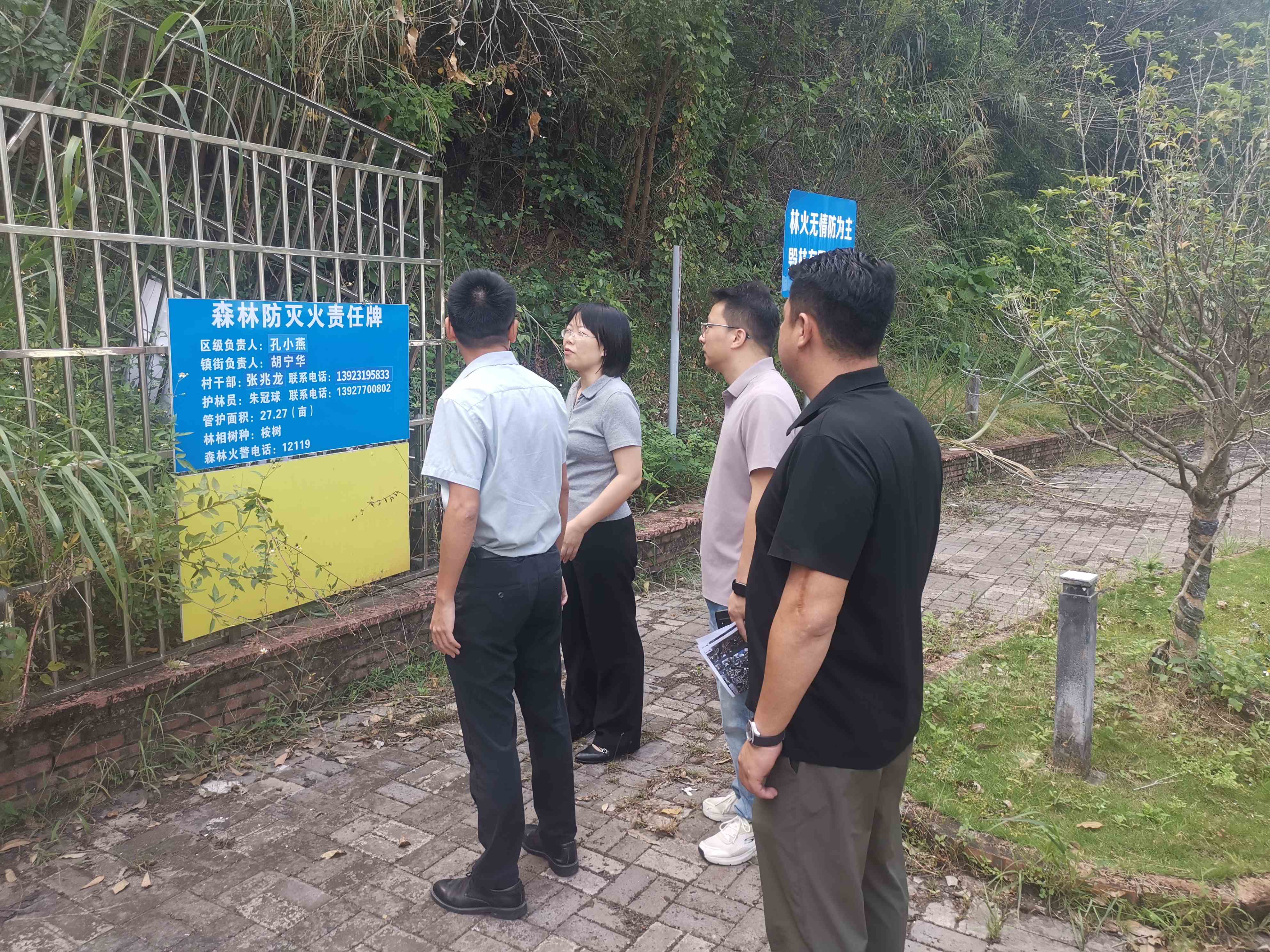 九江镇开展秋冬季森林防火专项巡查，筑牢重阳期间安全防线