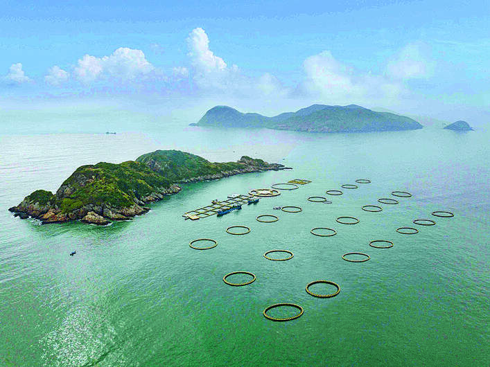 知识赋能区域特色海产品,全面推动向海图强战略。特约通讯员叶衍达供图 知识赋能区域特色海产品,全面推动向海图强战略。特约通讯员叶衍达供图