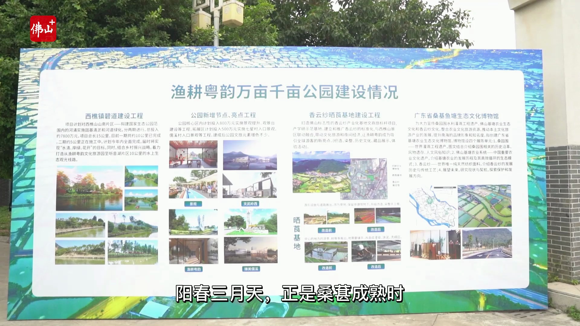 假期首日,天气晴好,踏青赏花的周边游成为市民的首选。视频/佛山日报记者林夏威制作