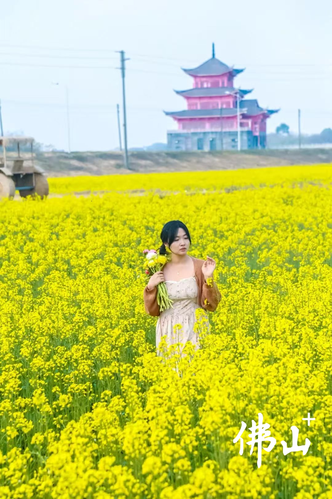 微信图片_20250131113502.jpg