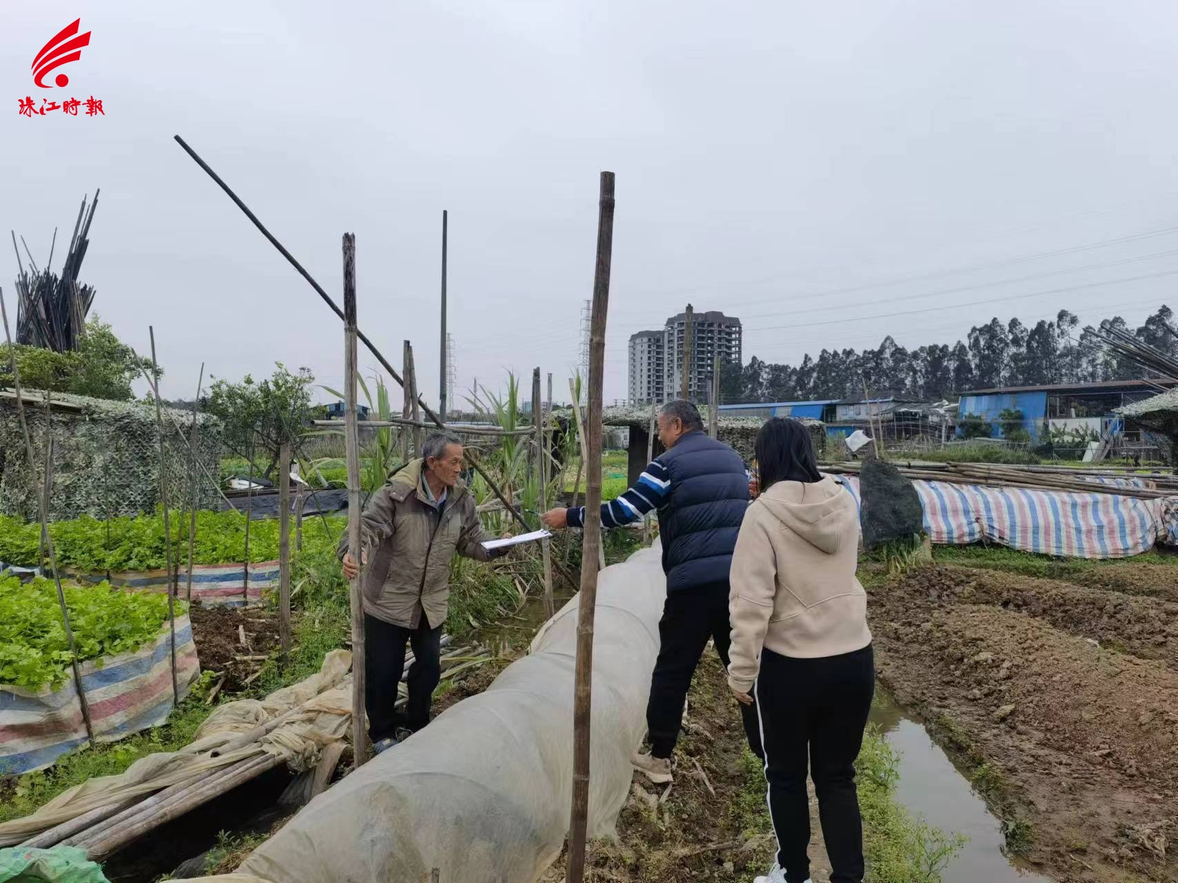 狮山首个土地权属人自主腾退地券项目正式申请立项！每亩土地租金将增超10倍