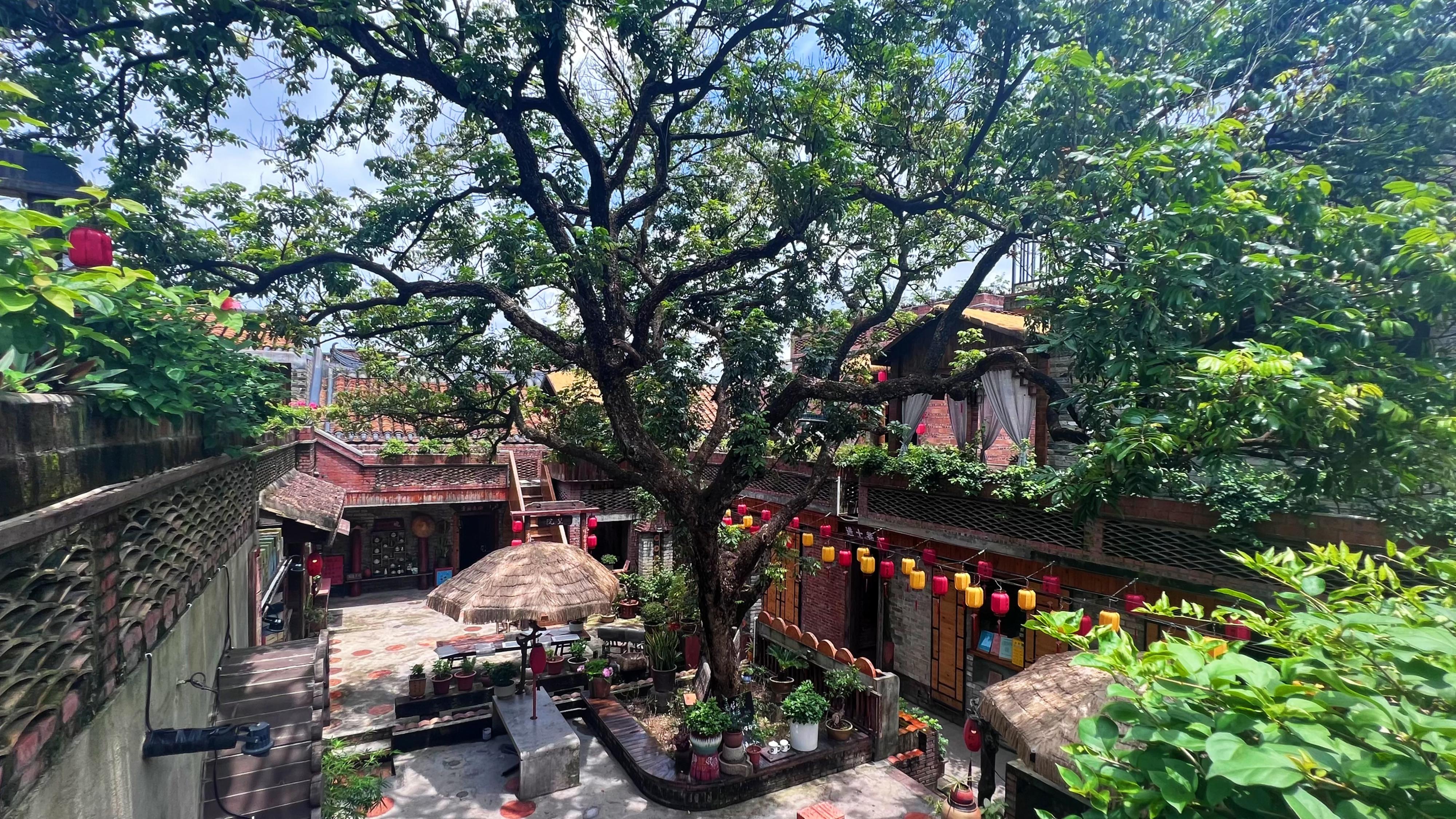 党建引领“百千万工程”·一线观察②丨寮步镇西溪村:党群心连心 古村焕新颜