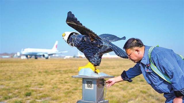 驱鸟员在检查机场声波驱鸟仪的工作情况。图源:兰州新区报